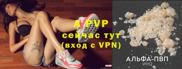 бошки Белокуриха