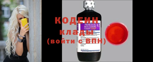 PSILOCYBIN Богданович