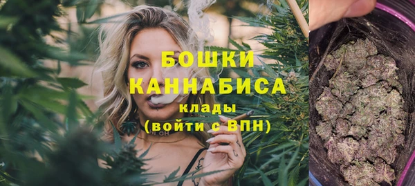 бошки Белокуриха