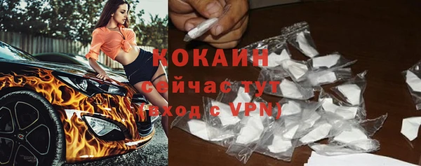 PSILOCYBIN Богданович