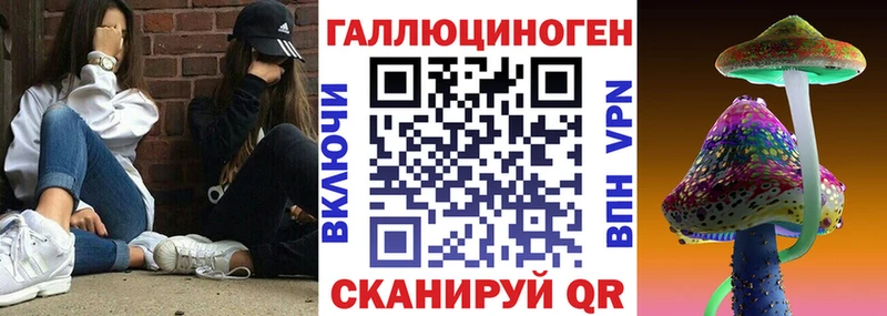 Галлюциногенные грибы Psilocybine cubensis  даркнет сайт  Богучар 